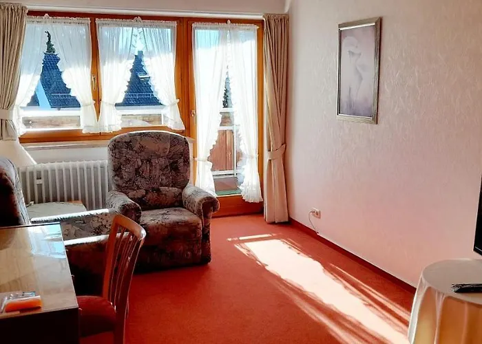 Hotel Seemueller 3*